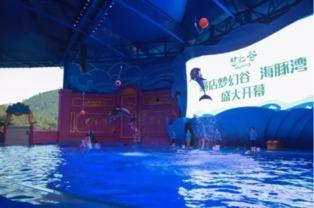 外国人爆料海豚湾视频,震惊世界的捕杀真相曝光