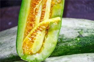 网红泡泡吃瓜,揭秘娱乐圈吃瓜背后的真相  第1张